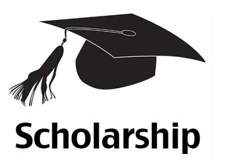 What Are The Popular Scholarships In China For International Students?